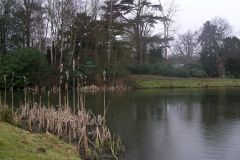 Painshill Park