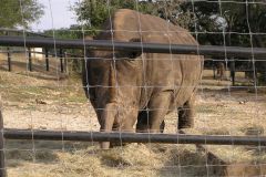 Сафари парк Natural Bridge Wildlife Ranch