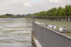 Хэмптон. Сады Hampton Court Palace