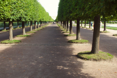 Петергоф