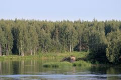 Волга в районе СНТ Никольское