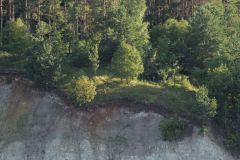 Волга перед Камским устьем