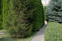 Саратов