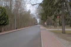 Беловежская пуща