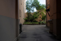 20250802_0360